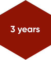 METIS Academy Software Engineer + METIS Academy German Language