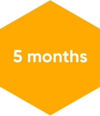 Java Developer Junior